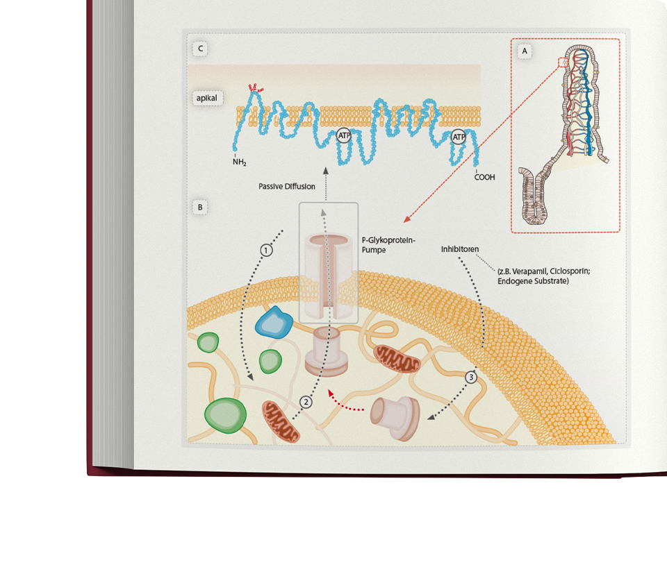 Mutschler Buch Design